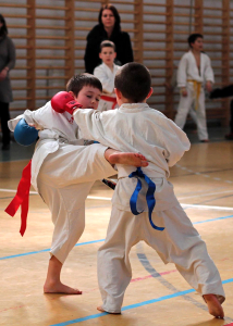 Wadokarate Utánpótlás Országos Bajnokság - Kodomo 2014