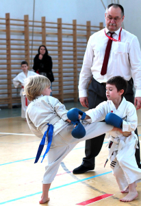 Wadokarate Utánpótlás Országos Bajnokság - Kodomo 2014