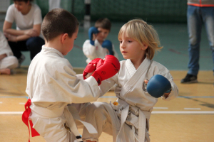 Wadokarate Utánpótlás Országos Bajnokság - Kodomo 2014