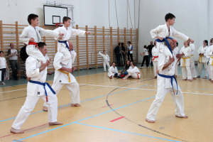 Wadokarate Utánpótlás Országos Bajnokság - Kodomo 2014