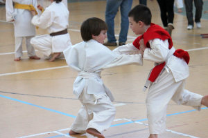 Wadokarate Utánpótlás Országos Bajnokság - Kodomo 2014