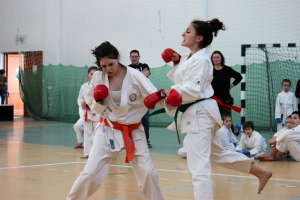 Wadokarate Utánpótlás Országos Bajnokság - Kodomo 2014