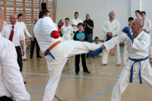 Wadokarate Utánpótlás Országos Bajnokság - Kodomo 2014