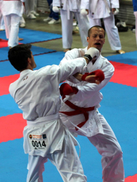 WUKF Európa-bajnokság 2014