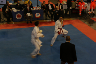 8. WUKF Karate Európa-bajnokság