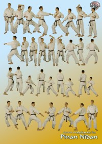 Pinan Nidan