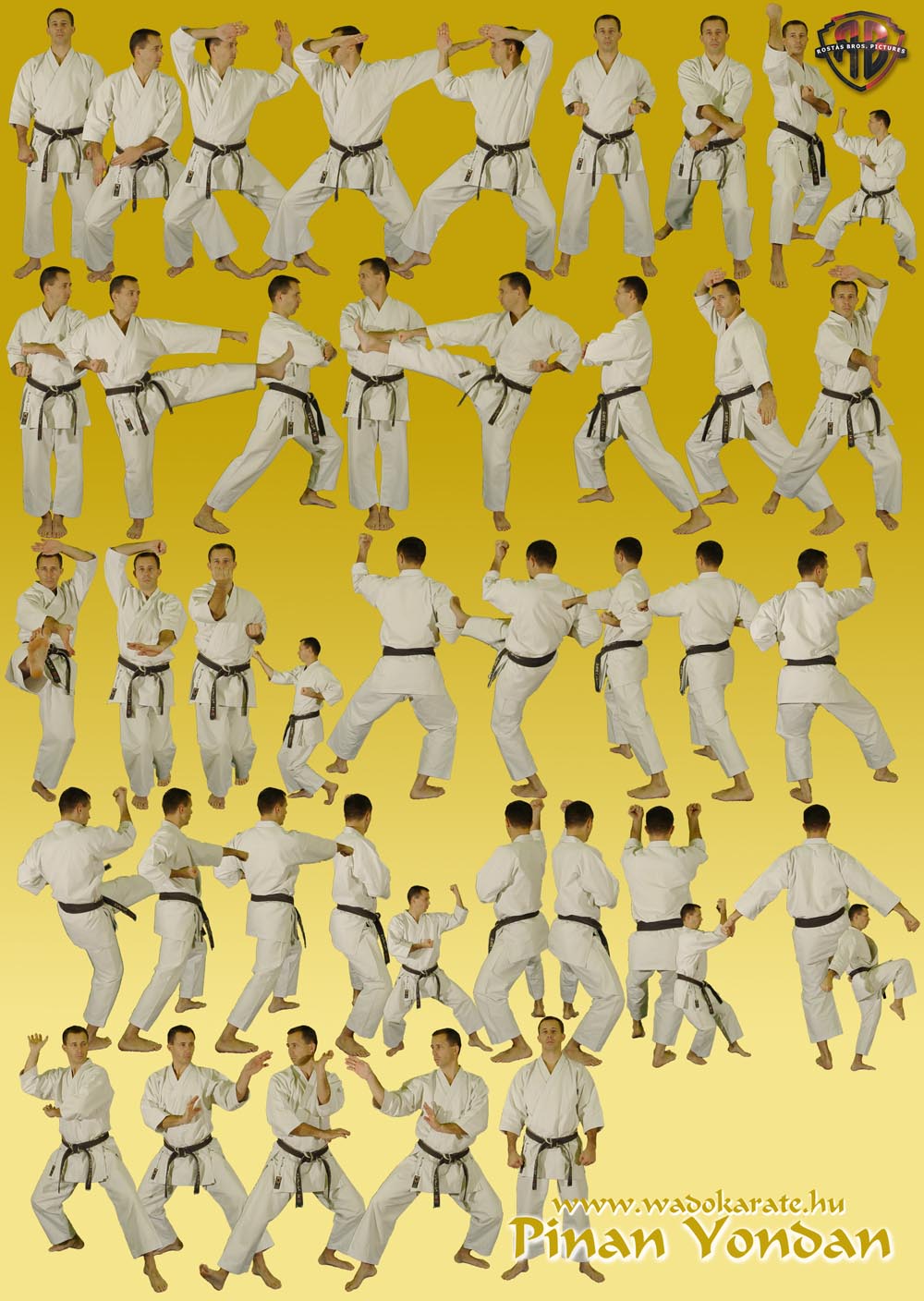 PinanYondan.jpg 1 000 × 1 408 pixlar | Karate kata, Wado ryu karate